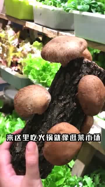 最新鲜图片，时代瞬间的魅力捕捉